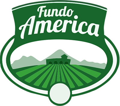 Fundo América